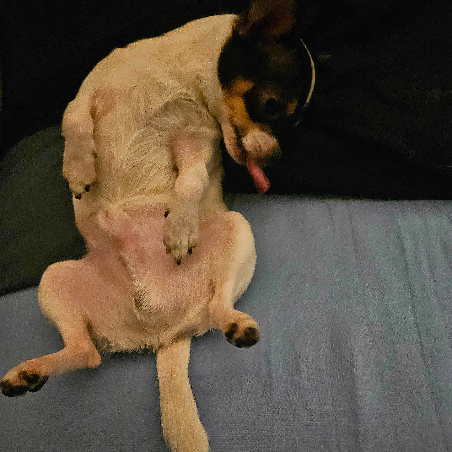 Aiko