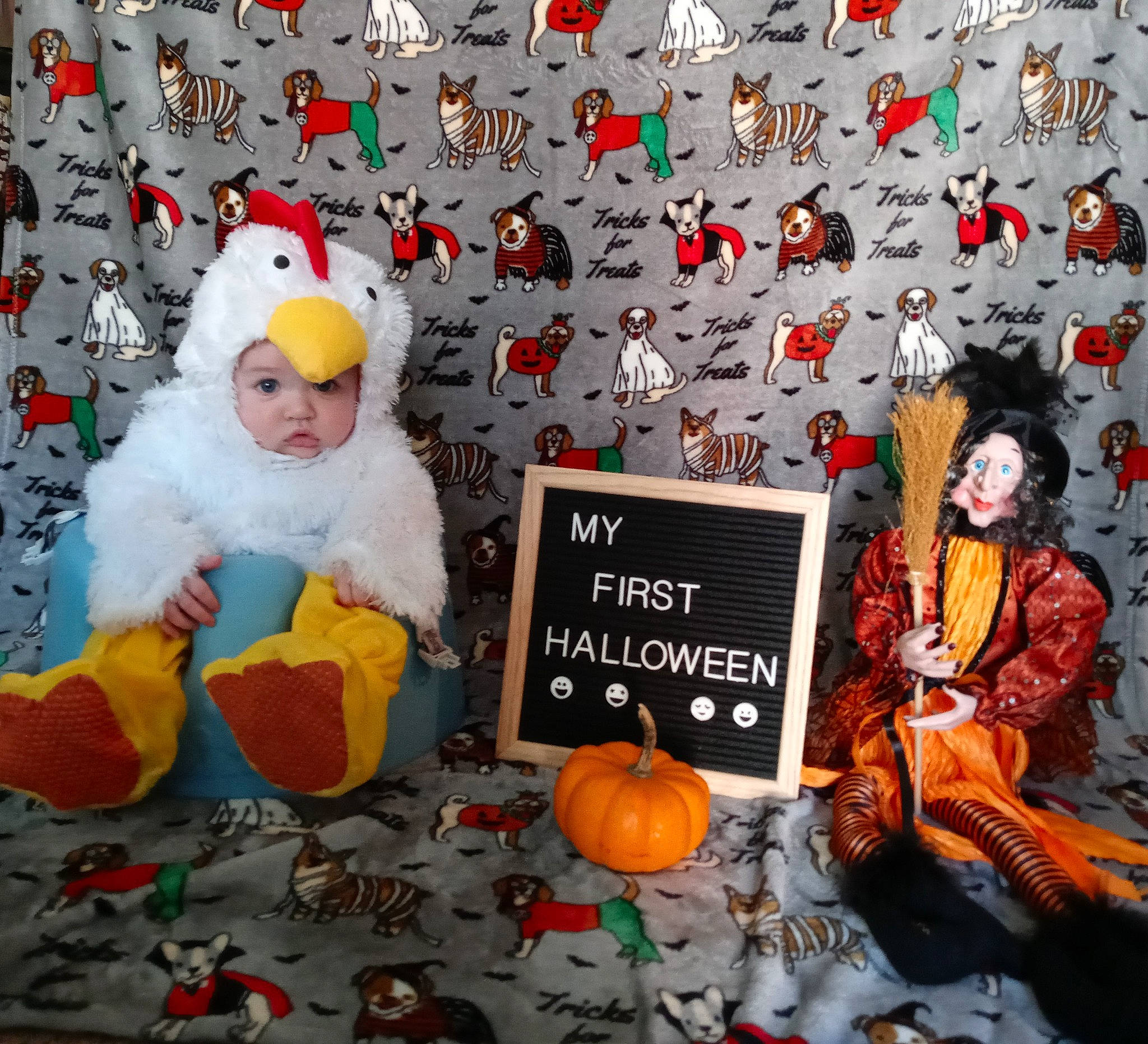 Dexter is registered to the contest to win money with this photo: art, calabaza, christmas, christmas_decoration, christmas_eve, christmas_ornament, cucurbita, event, fictional_character, gourd, happy, headwear, holiday, natural_foods, person, plant, pumpkin, santa_claus, squash, tree