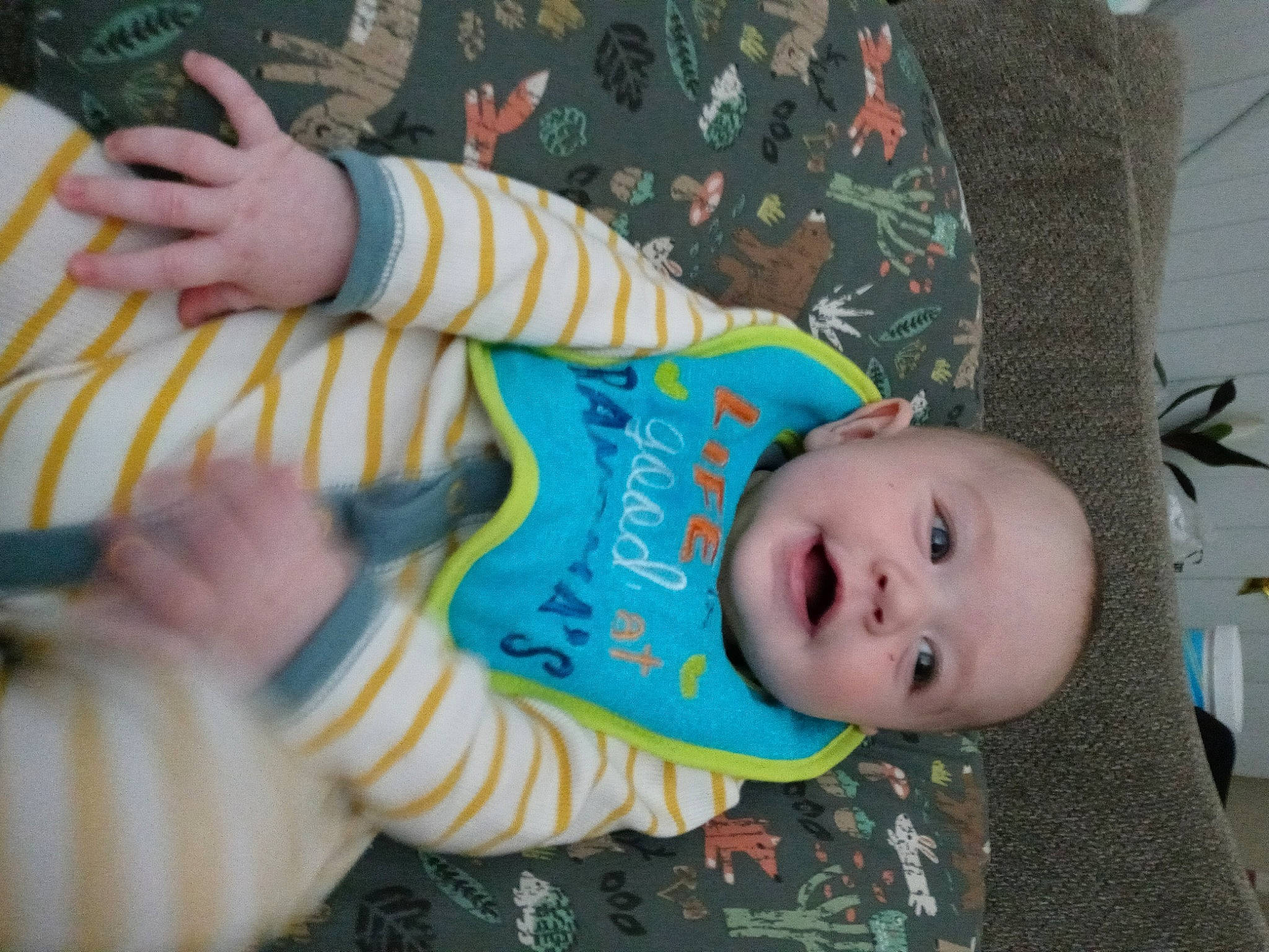 Dexter joined the competition — help win amazing prizes! baby, baby_products, baby_toddler_clothing, cheek, child, comfort, foot, gesture, happy, iris, nail, pattern, person, sitting, skin, sleeve, smile, thumb, toddler, wood