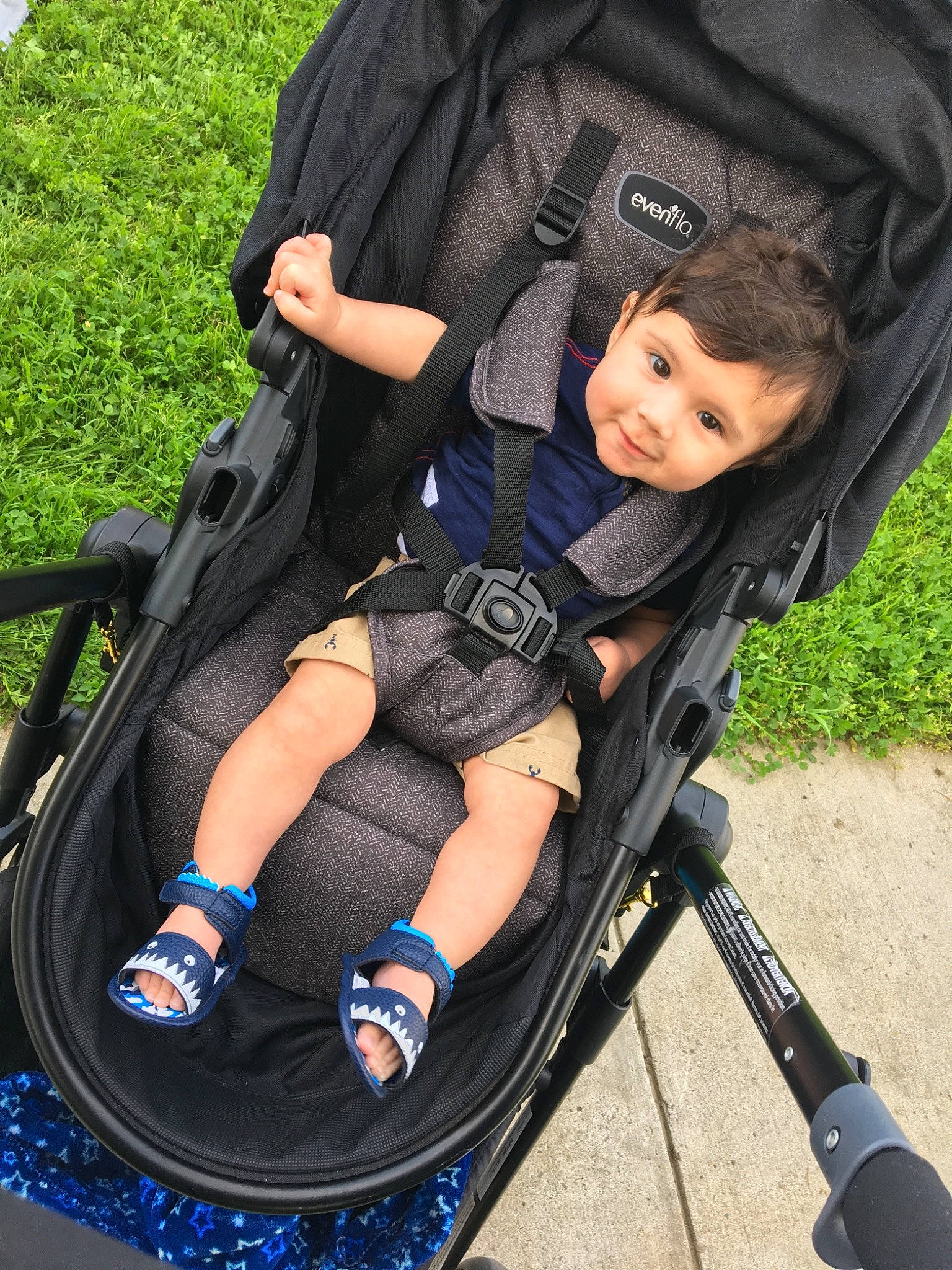 Alfred joined the competition — help win amazing prizes! baby, baby_carriage, baby_products, child, grass, leg, person, play, product, toddler, vacation, vehicle