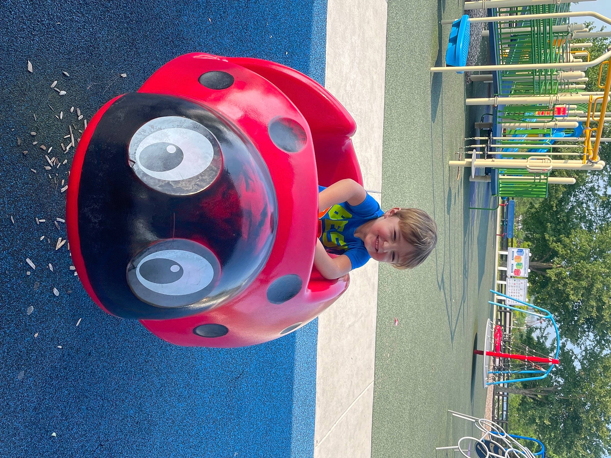 Camden is registered to the contest to win money with this photo: art, auto_part, automotive_exterior, automotive_lighting, automotive_tire, automotive_wheel_system, circle, electric_blue, fun, joy, lake, leisure, motor_vehicle, musical_instrument, person, personal_protective_equipment, plant, recreation, rim, tree