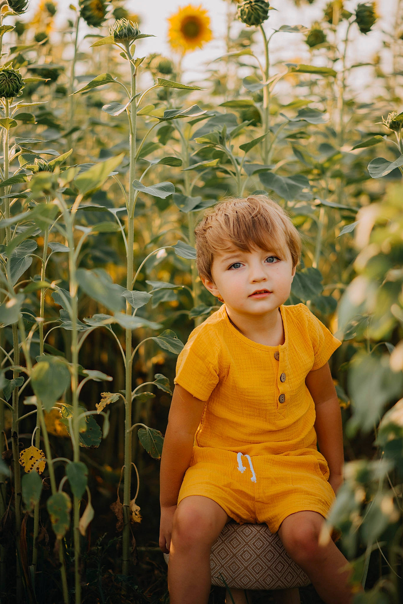 Camden joined the competition — help win amazing prizes! baby_toddler_clothing, blond, botany, eye, flower, flowering_plant, fun, grass, grass_family, hair, happy, light, nature, people_in_nature, person, petal, plant, summer, sunlight, toddler
