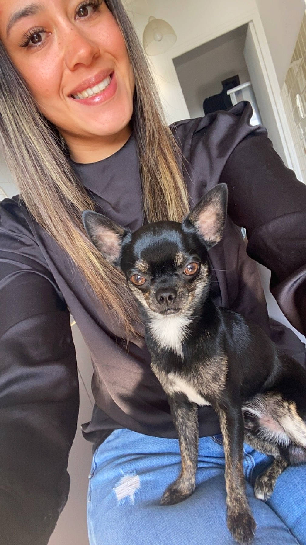 Bosko participe au concours pour gagner de l'argent avec cette photo : canidae, carnivore, companion_dog, dog, dog_breed, eye, eyewear, fawn, formal_wear, fur, head, non_sporting_group, picture_frame, puppy, sitting, smile, sporting_group, toy_dog, whiskers, working_animal