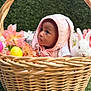 animal, baby, basket, bonnet, clothing, face, flower, flowerarrangement, flowerbouquet, grass, hat, head, person, petal, photography, plant, portrait, rabbit, rat, rodent