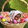 baby, basket, bonnet, clothing, daisy, egg, face, flower, flowerarrangement, flowerbouquet, food, grass, hat, head, person, petal, photography, plant, portrait, purple