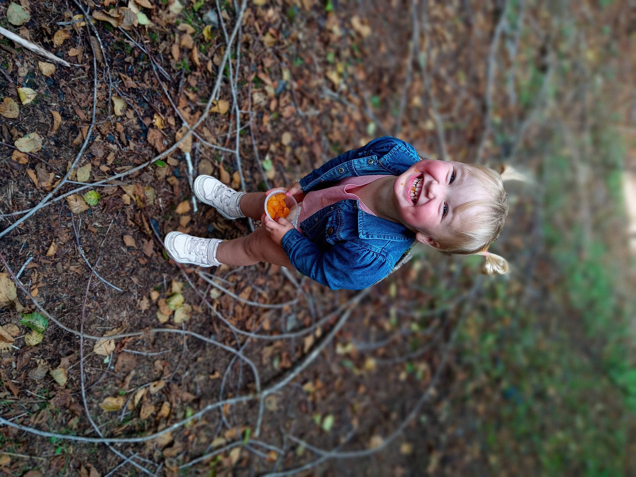 Macie is registered to the contest to win money with this photo: adventure, branch, child, electric_blue, forest, grass, happy, joy, leisure, mammal, people_in_nature, person, plant, recreation, smile, soil, toddler, tree, trunk, twig