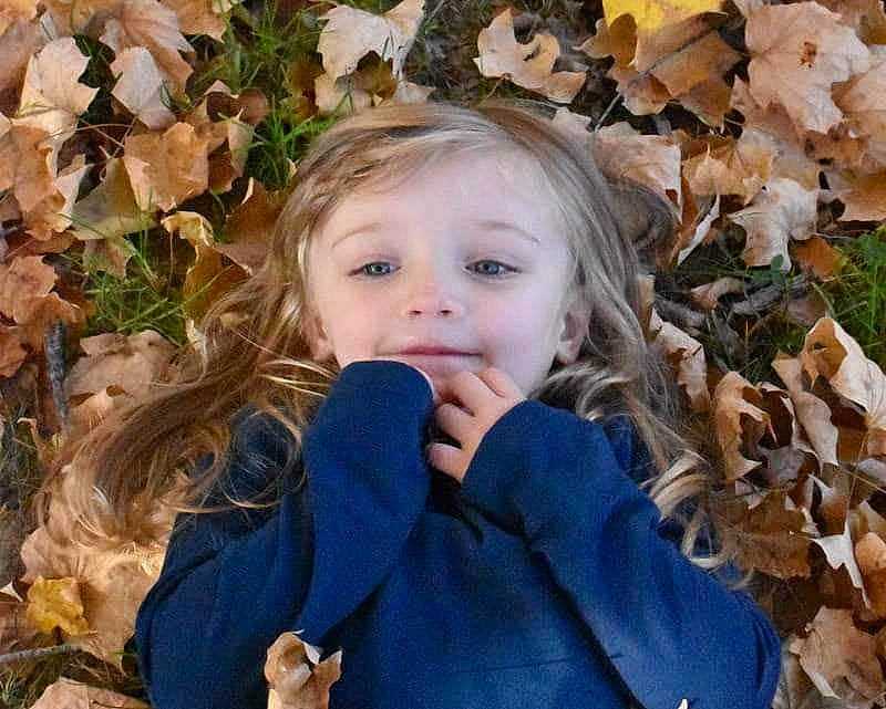 Emily is registered to the contest to win money with this photo: autumn, child, girl, human_hair_color, leaf, person, portrait_photography, toddler, tree