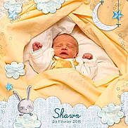 Shawn a rejoint le concours — aidez-le/la à gagner de superbes lots !