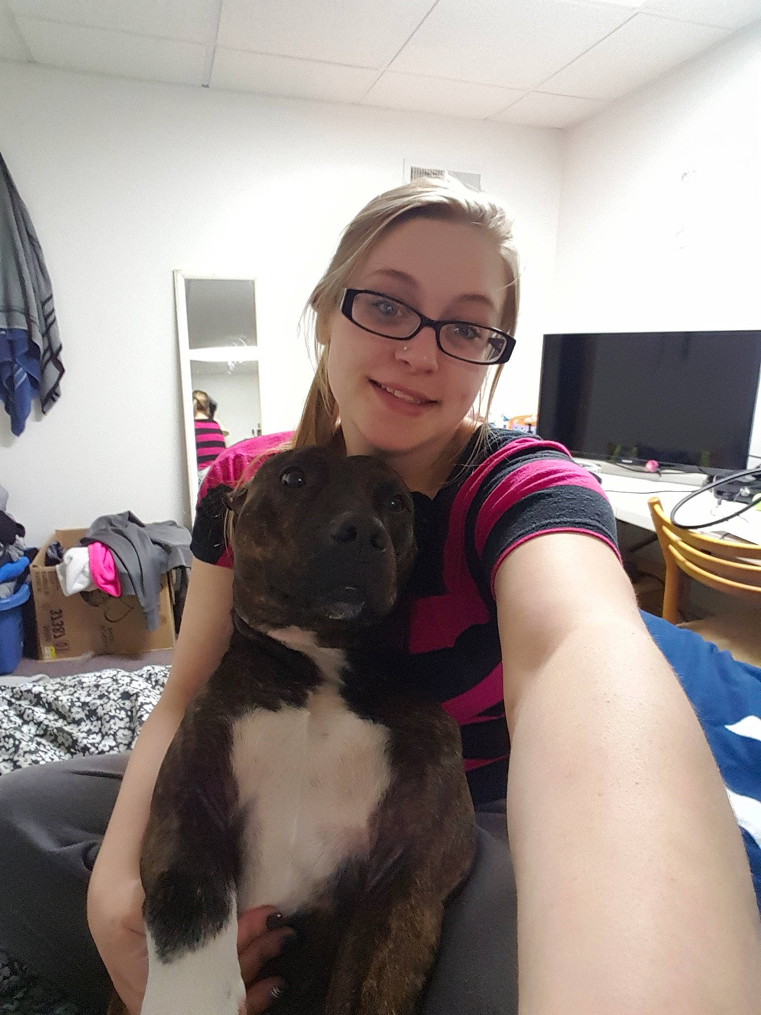 Axle is registered to the contest to win money with this photo: boston_terrier, canidae, carnivore, companion_dog, dog, dog_breed, ear, fawn, french_bulldog, glasses, joy, leg, non_sporting_group, person, puppy, sporting_group, whiskers