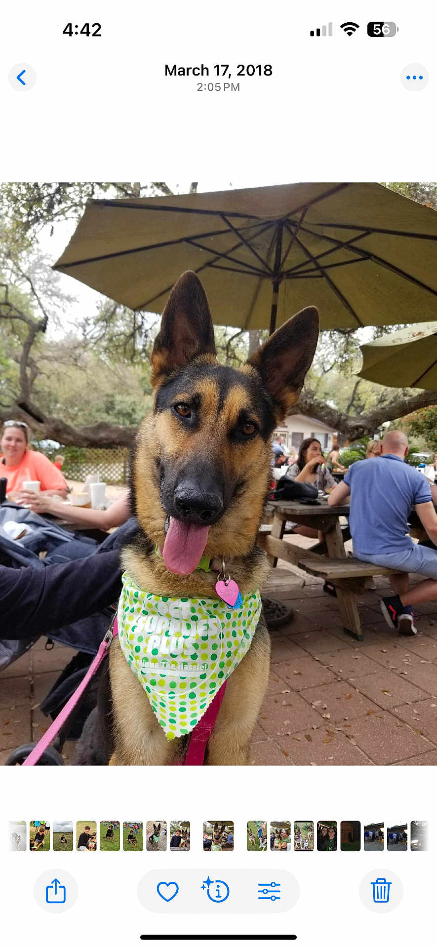 Zena