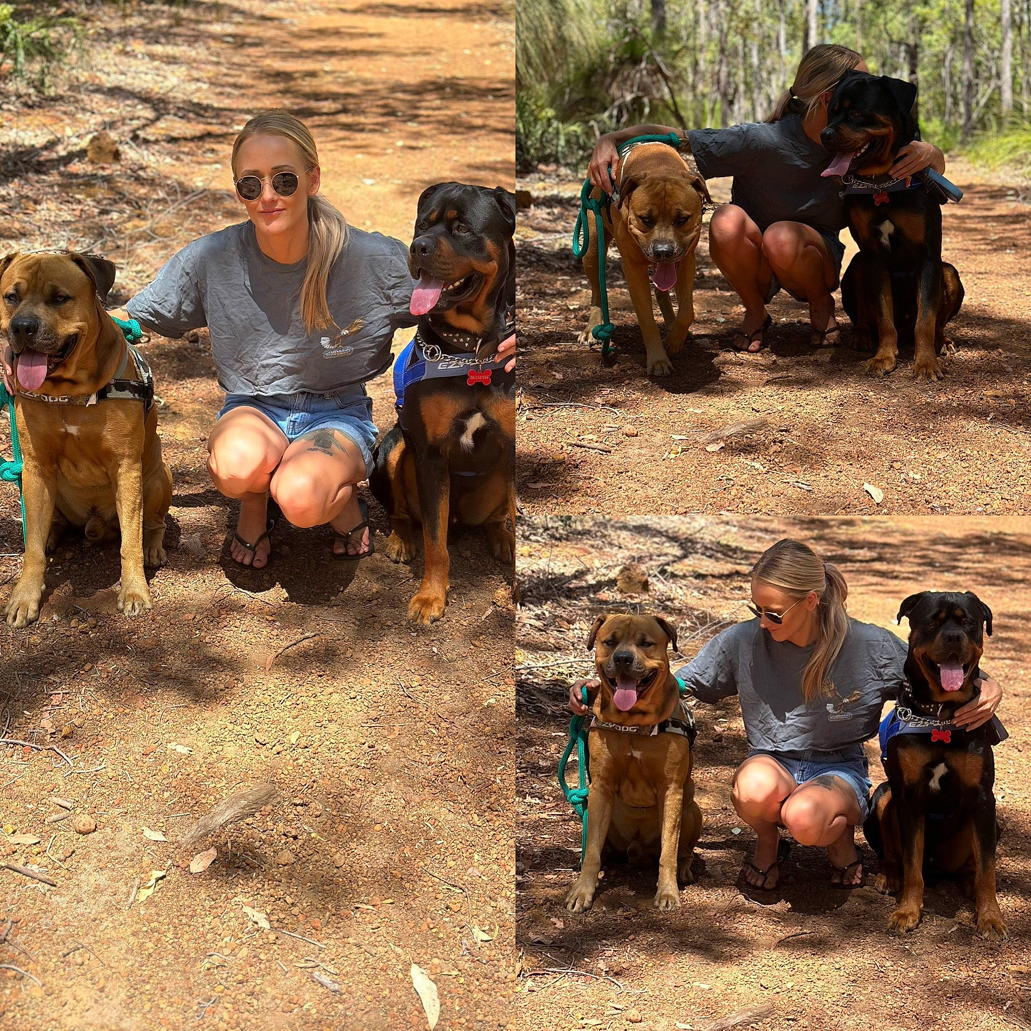 Chaos joined the competition — help win amazing prizes! adaptation, carnivore, dog, dog_breed, event, fawn, fun, landscape, leisure, mammal, people, plant, recreation, smile, soil, sunglasses, t_shirt, tree, vertebrate, working_animal