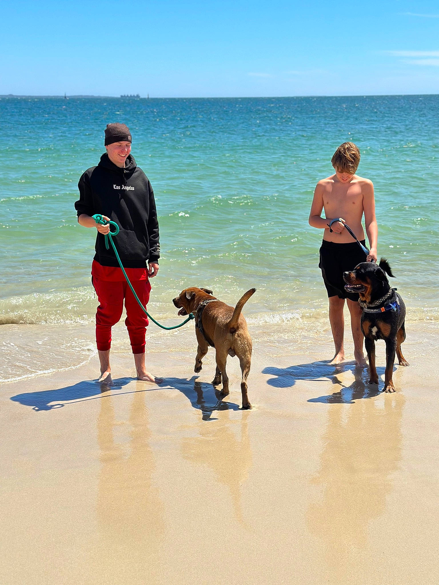 Chaos joined the competition — help win amazing prizes! beach, canidae, carnivore, cloud, dog, dog_breed, fashion_accessory, fawn, fun, leash, leisure, people_on_beach, recreation, sand, shorts, sky, sporting_group, travel, walking, water