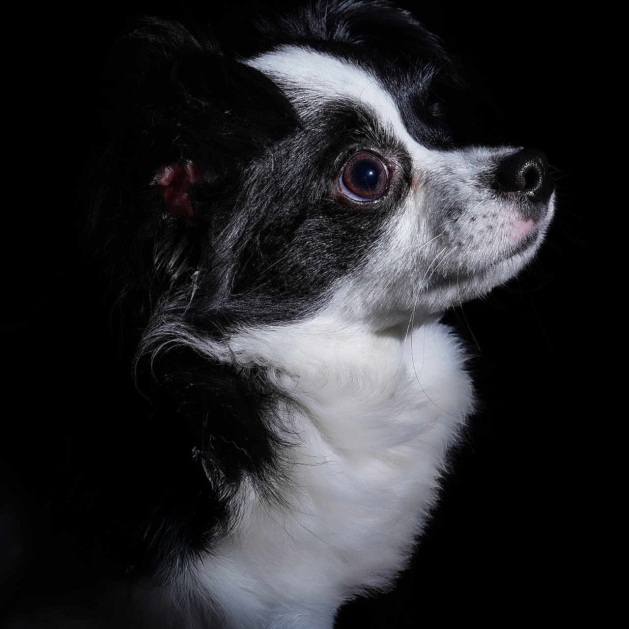 Ares