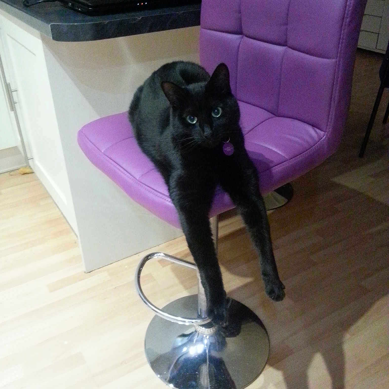 Dave is registered to the contest to win money with this photo: