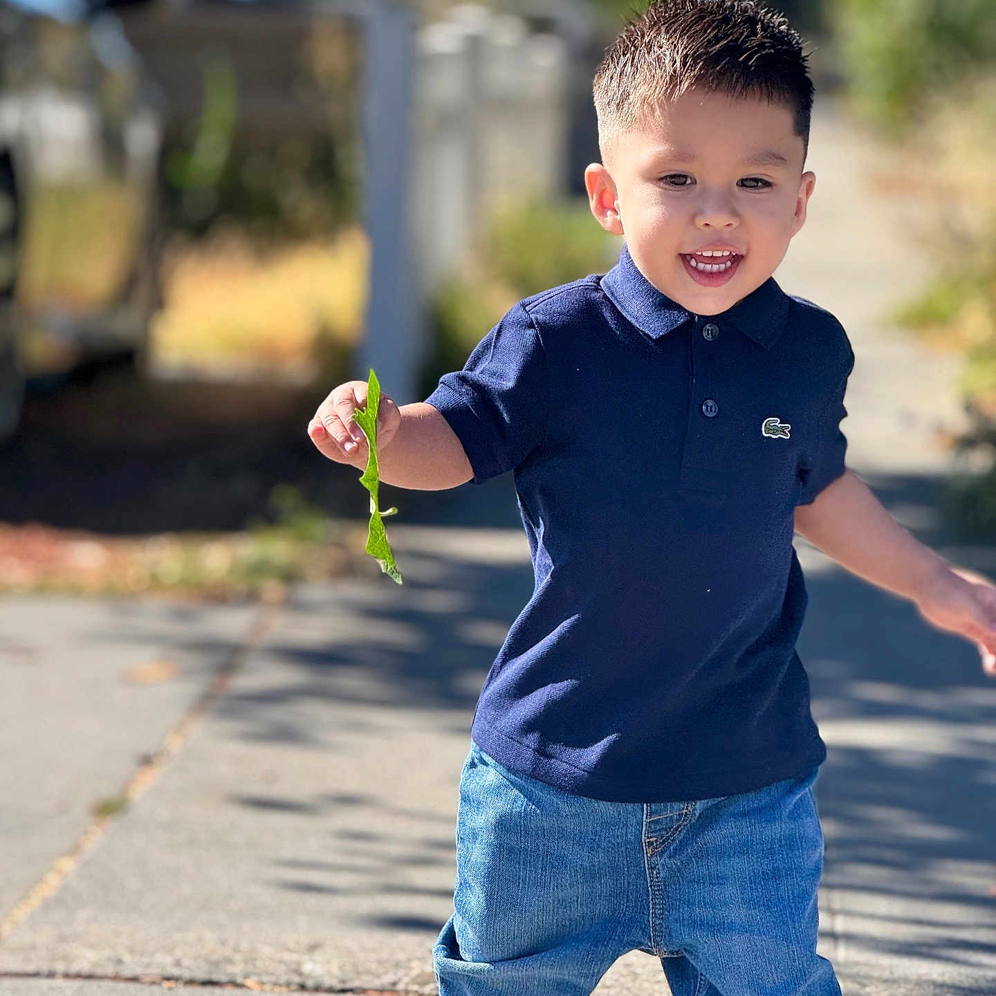 Joel Hernandez is registered to the contest to win money with this photo: blue_polo, boy, casual_clothing, child, daylight, fence, happy, jeans, leaf, nature, outdoor, playful, shoes, short_hair, sidewalk, smiling, sunlight, toddler, walking, young_child
