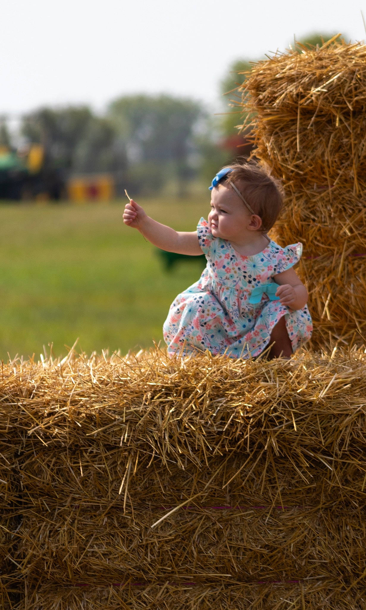 Phoebe joined the competition — help win amazing prizes! baby, child, crop, farm, field, fun, grass, grass_family, happy, hay, meadow, people_in_nature, person, photograph, photography, plant, play, sitting, straw, summer