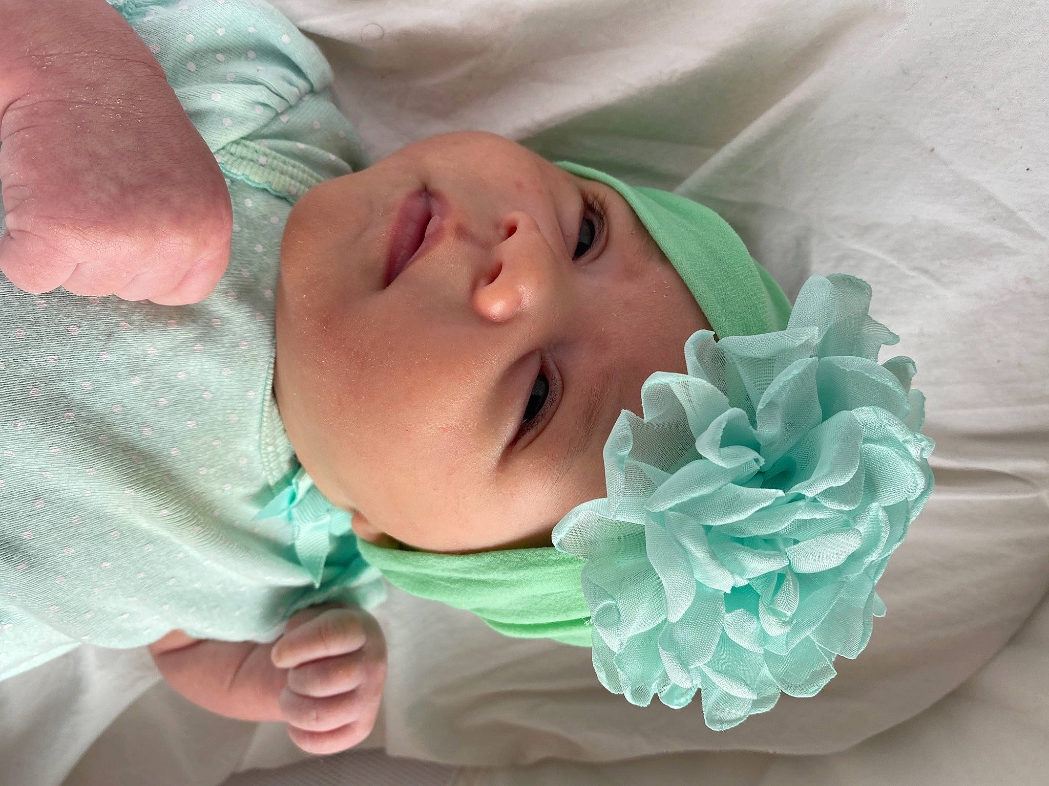 Gianna is registered to the contest to win money with this photo: azure, baby, baby_toddler_clothing, cheek, comfort, eyebrow, face, finger, gesture, hair, hand, headgear, headwear, iris, leaf, lip, nose, person, petal, pink