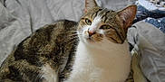 Cannelle participe au concours pour gagner de l'argent avec cette photo :
