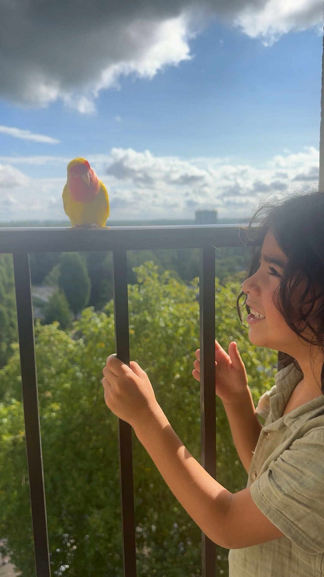 Ayden participe au concours pour gagner de l'argent avec cette photo : child, bird, balcony, bars, yellow_bird, red_bird, curly_hair, outdoor, daylight, greenery, sky, clouds, nature, happy, smiling, person, holding, curious, sunlight, portrait