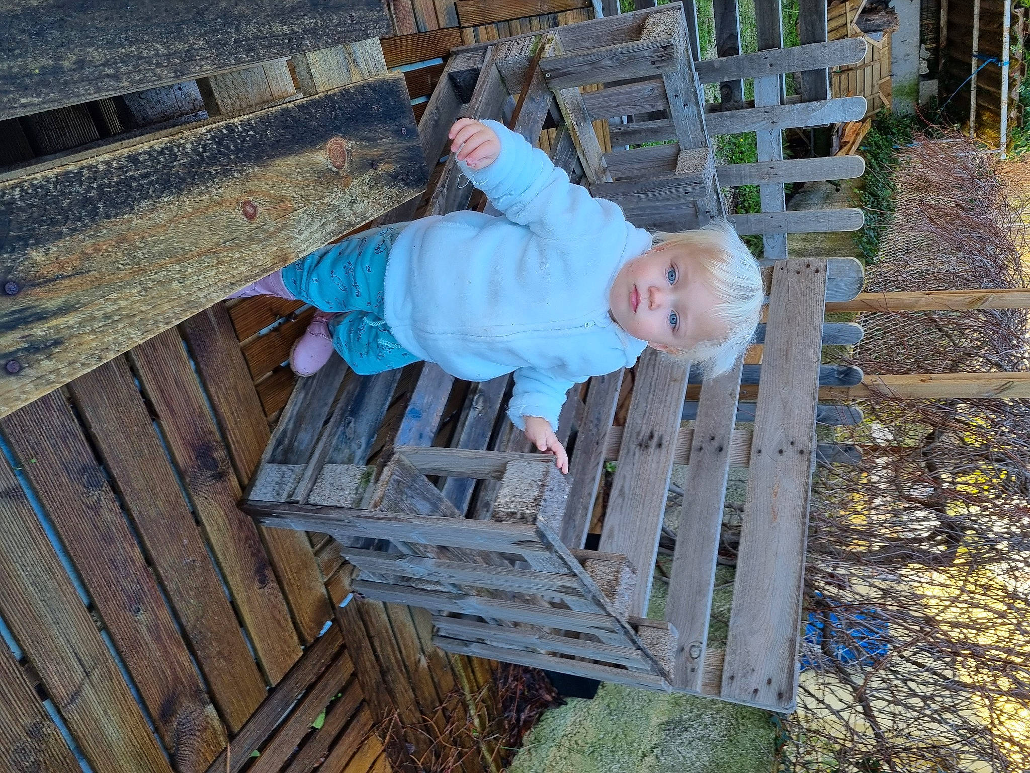 Hanna participe au concours pour gagner de l'argent avec cette photo : baby, baby_safety, baby_toddler_clothing, child, composite_material, grass, hardwood, leisure, people_in_nature, person, plank, plant, sitting, sleeve, toddler, tree, wood