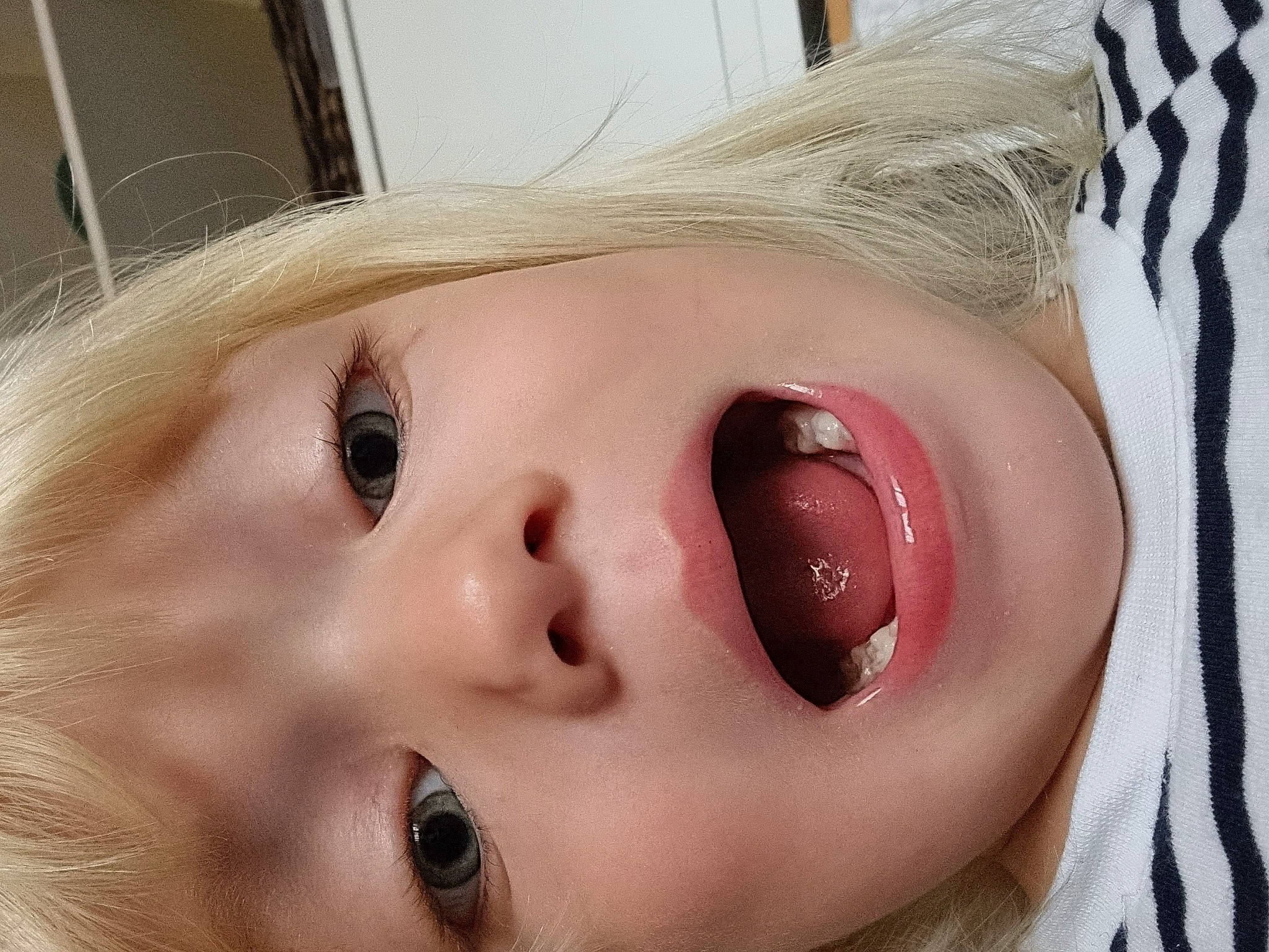 Hanna participe au concours pour gagner de l'argent avec cette photo : brown_hair, cheek, child, ear, eye, eyelash, fashion_accessory, flesh, fur, iris, jaw, lip, lipstick, mouth, no_expression, nose, person, portrait_photography, selfie, skin