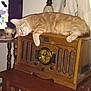Jimmy Bo Biscuits is registered to the contest to win money with this photo: animal, antique, cat, cozy, curtain, decor, feline, home, indoor, knobs, lamp, orange_tabby, pet, relaxed, resting, sleeping, stained_glass, table, vintage_radio, wooden_furniture