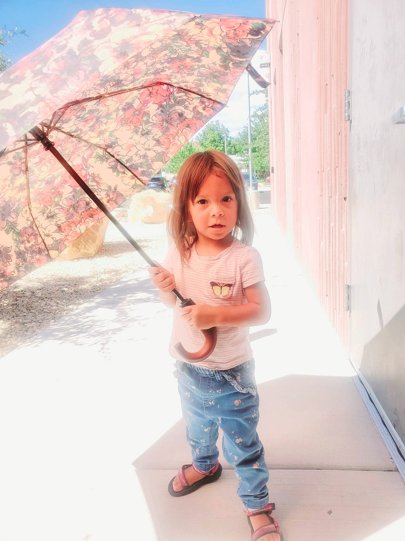 Ariana joined the competition — help win amazing prizes! barefoot, blossom, child, daylighting, denim, flooring, fun, leisure, mountain, person, recreation, rock, sky, toddler, tree, umbrella, vacation, winter, wood