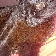 Doudou participe au concours pour gagner de l'argent avec cette photo :