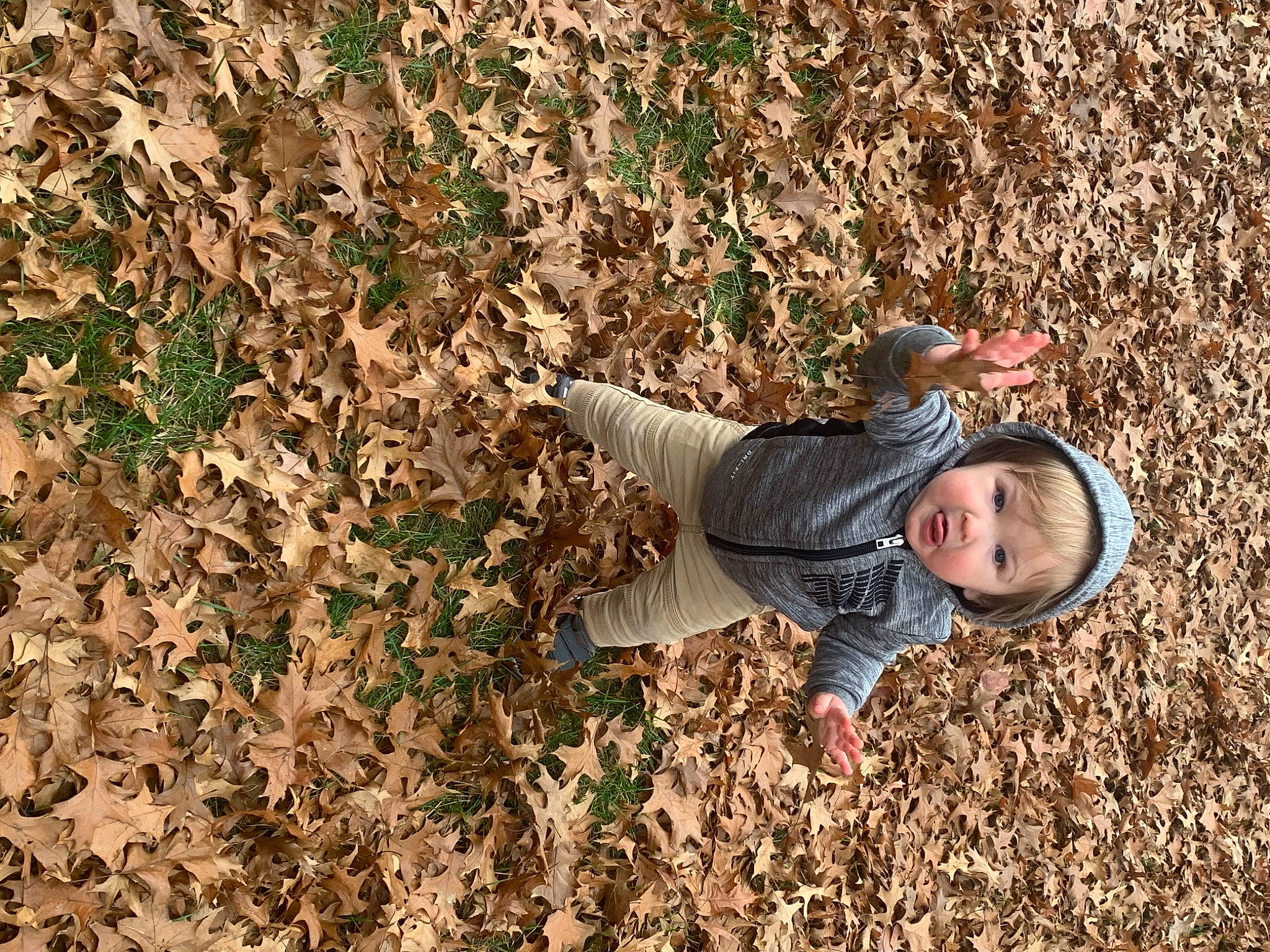 Kayden joined the competition — help win amazing prizes! adventure, autumn, deciduous, fun, grass, grass_family, grassland, happy, landscape, leisure, people_in_nature, person, plant, portrait_photography, recreation, shadow, sitting, smile, soil, surprise