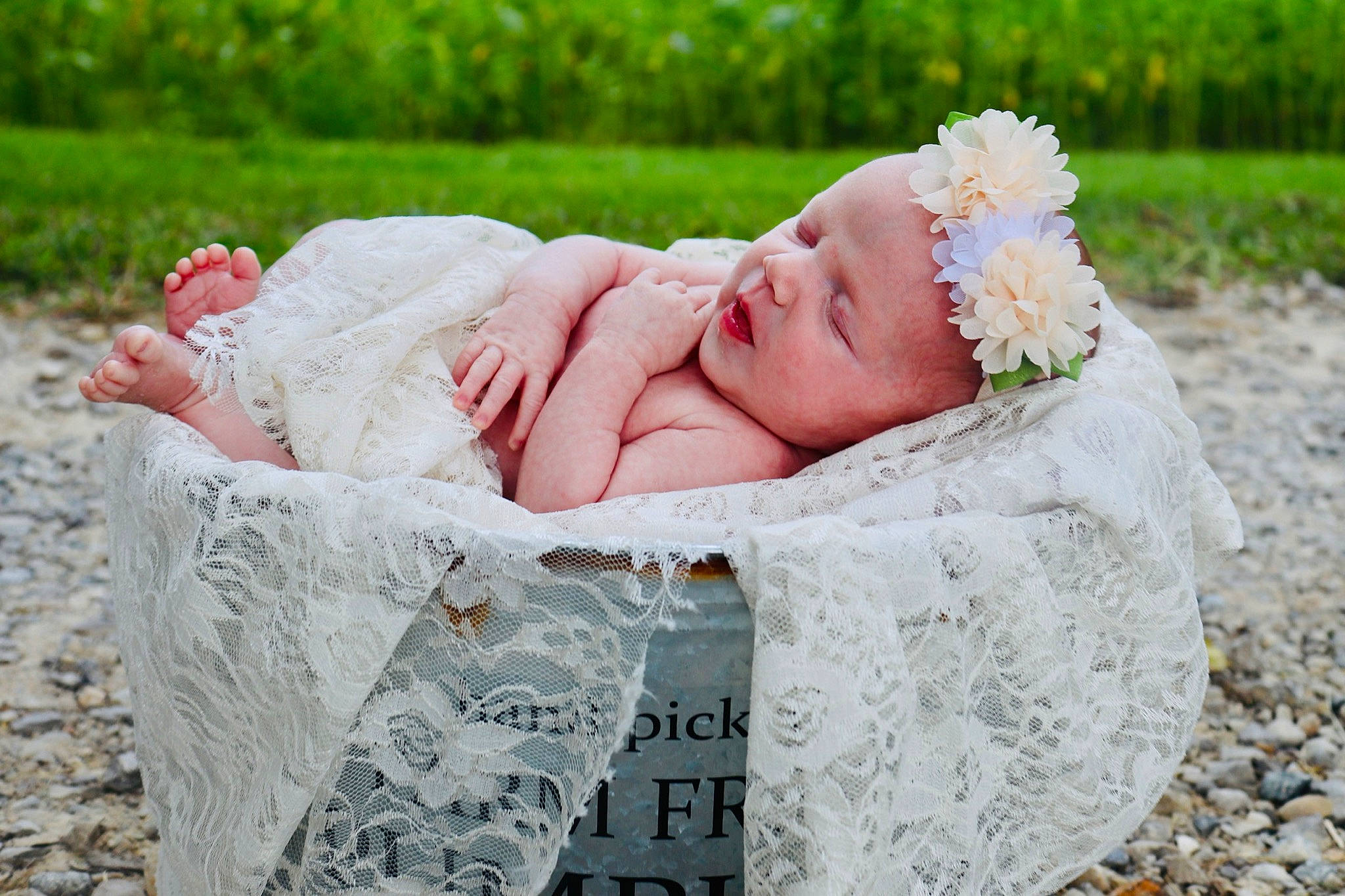 Houston joined the competition — help win amazing prizes! baby, child, comfort, fashion_accessory, flower, grass, grassland, green, happy, hat, headband, headpiece, headwear, leisure, people_in_nature, person, petal, plant, sitting, skin