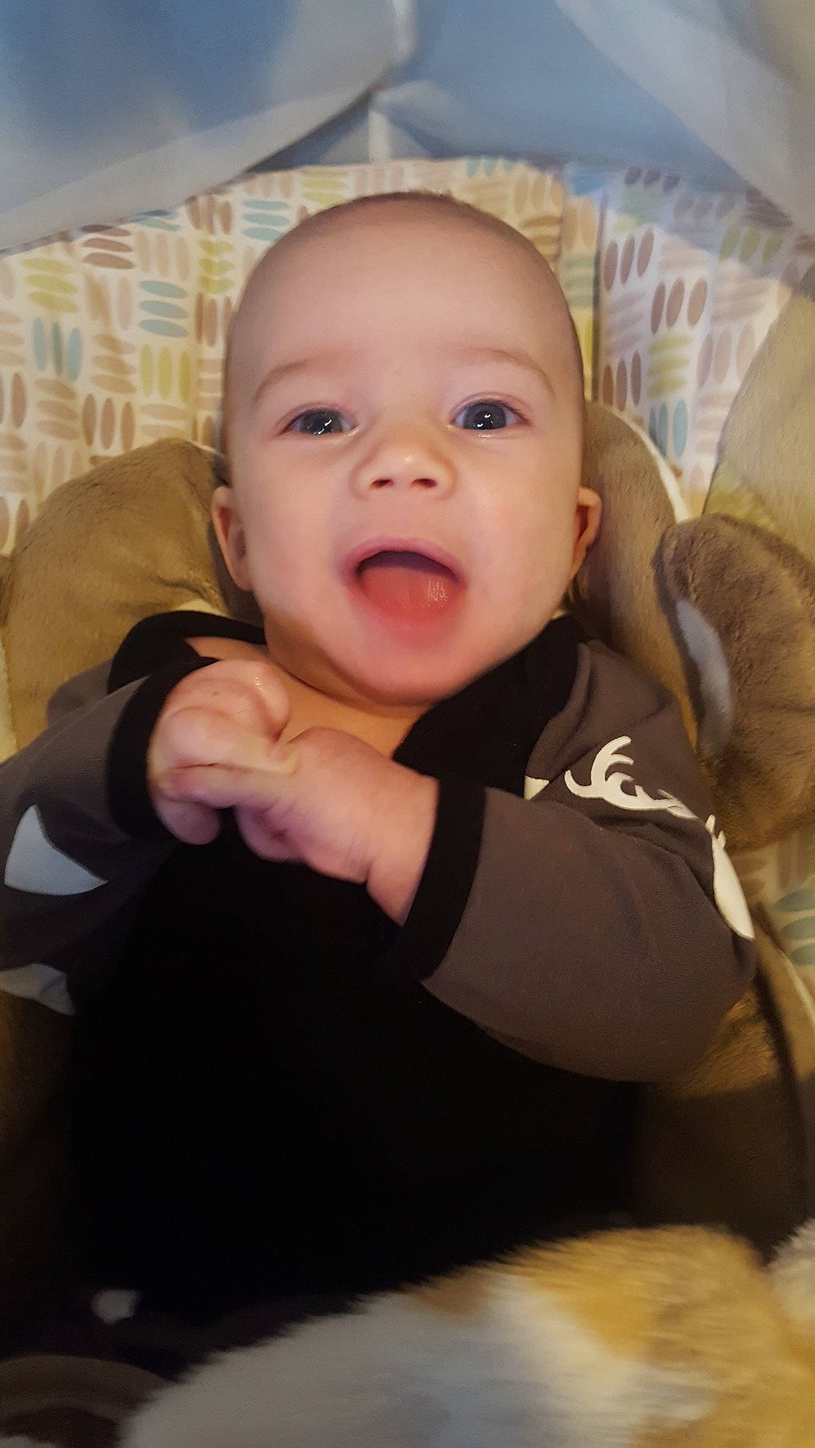 Joseph joined the competition — help win amazing prizes! baby, cheek, child, chin, ear, eye, eyebrow, face, facial_expression, forehead, head, iris, lip, mouth, nose, person, skin, smile, toddler