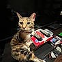 Jules is registered to the contest to win money with this photo: cat, tabby_cat, pet, feline, animal, collar, bell, television, remote_control, box, desk, clutter, indoor, wood_floor, curious, sitting, paw, looking, household_items, electronics