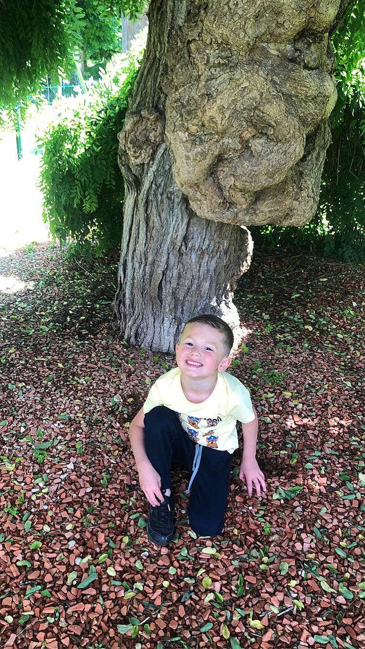 Antonin a rejoint le concours — aidez-le/la à gagner de superbes lots ! adaptation, biome, botany, forest, fun, grass, green, joy, leaf, natural_environment, people_in_nature, person, plant, smile, standing, sunlight, terrestrial_plant, toddler, trunk, vegetation