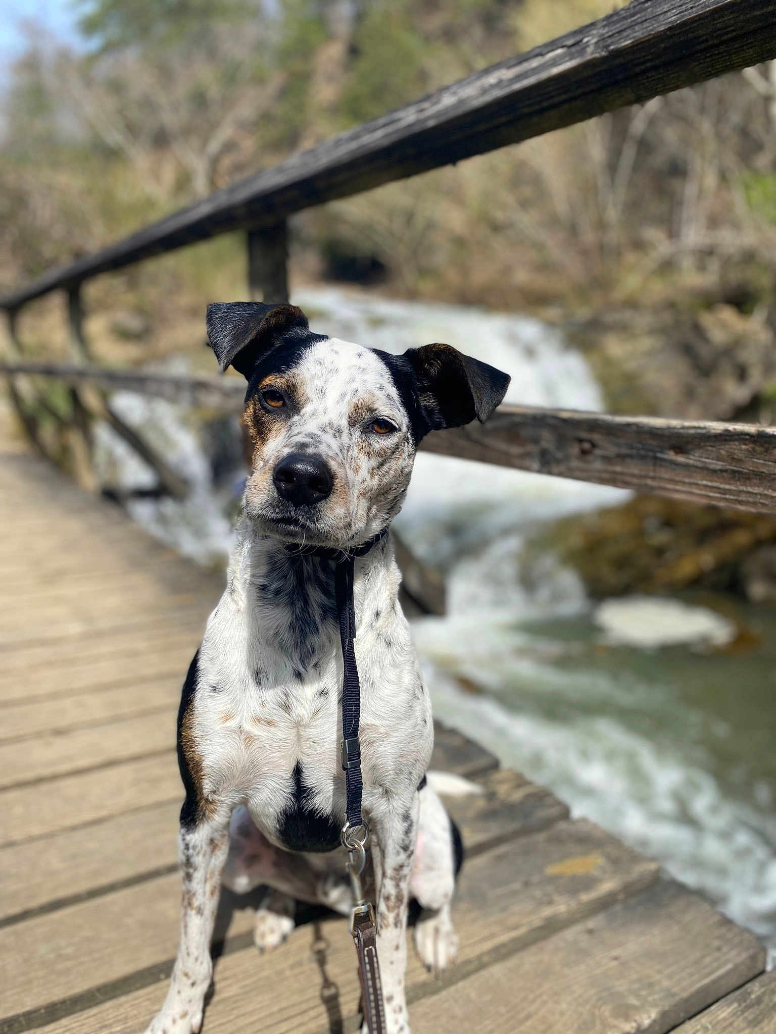 Gus