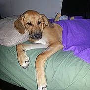 Maggie joined the competition — help win amazing prizes!