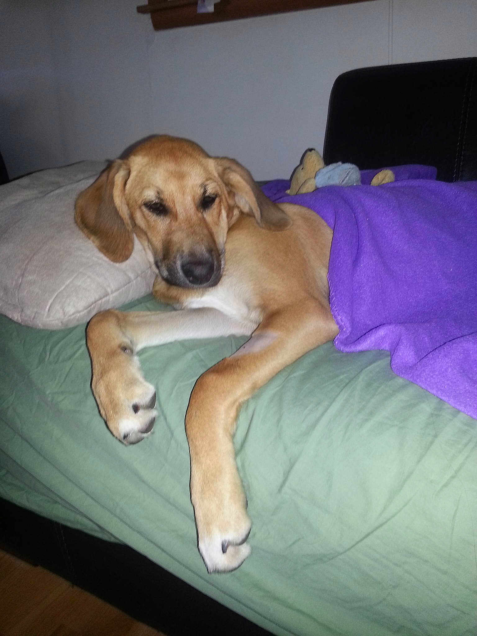Maggie