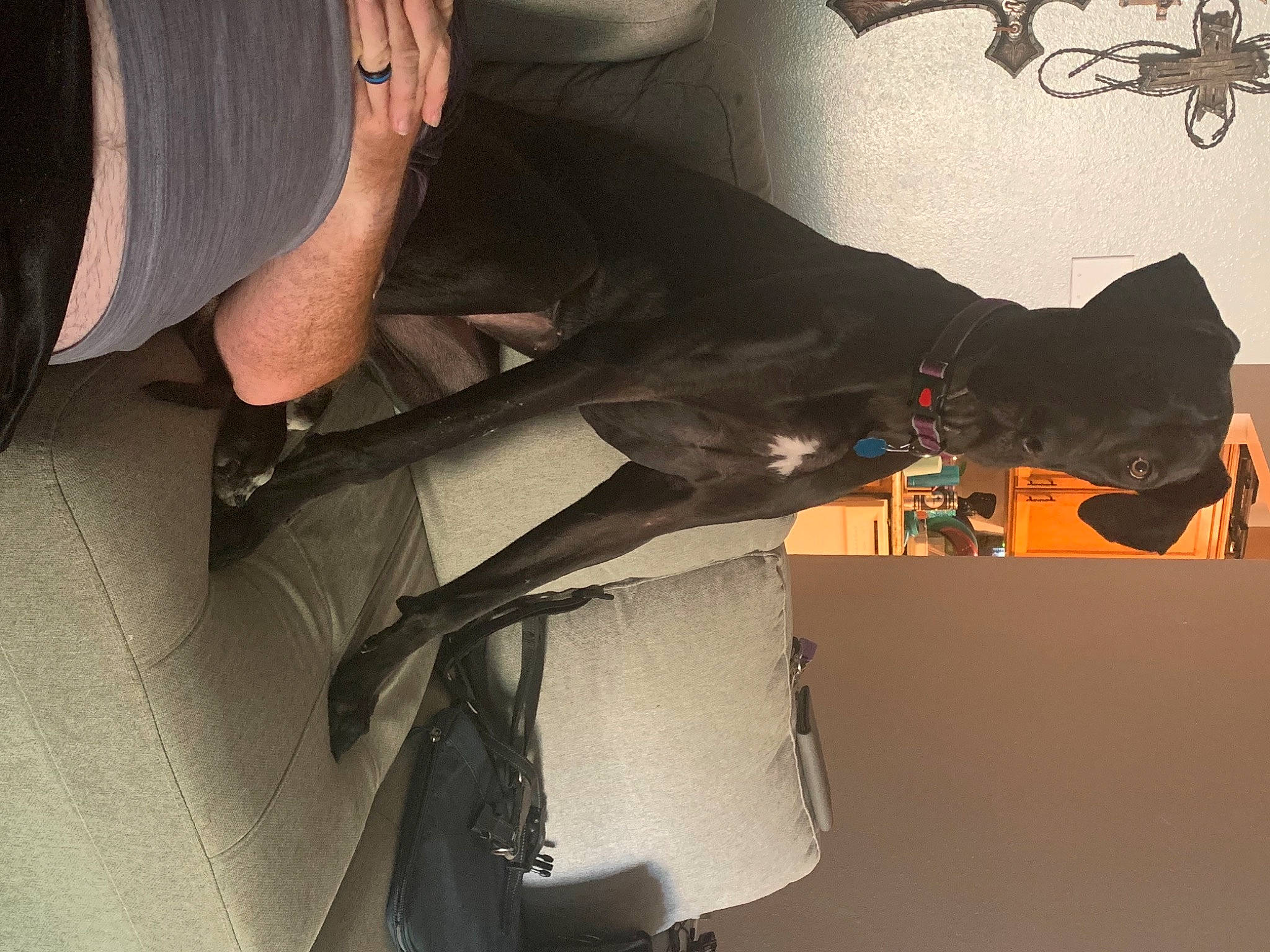 Sylvie is registered to the contest to win money with this photo: auto_part, automotive_design, backpack, bag, car_seat, carmine, comfort, elbow, eyewear, fashion_accessory, human_body, human_leg, knee, leather, luggage_and_bags, personal_protective_equipment, pocket, vehicle_door, visual_arts, wrist