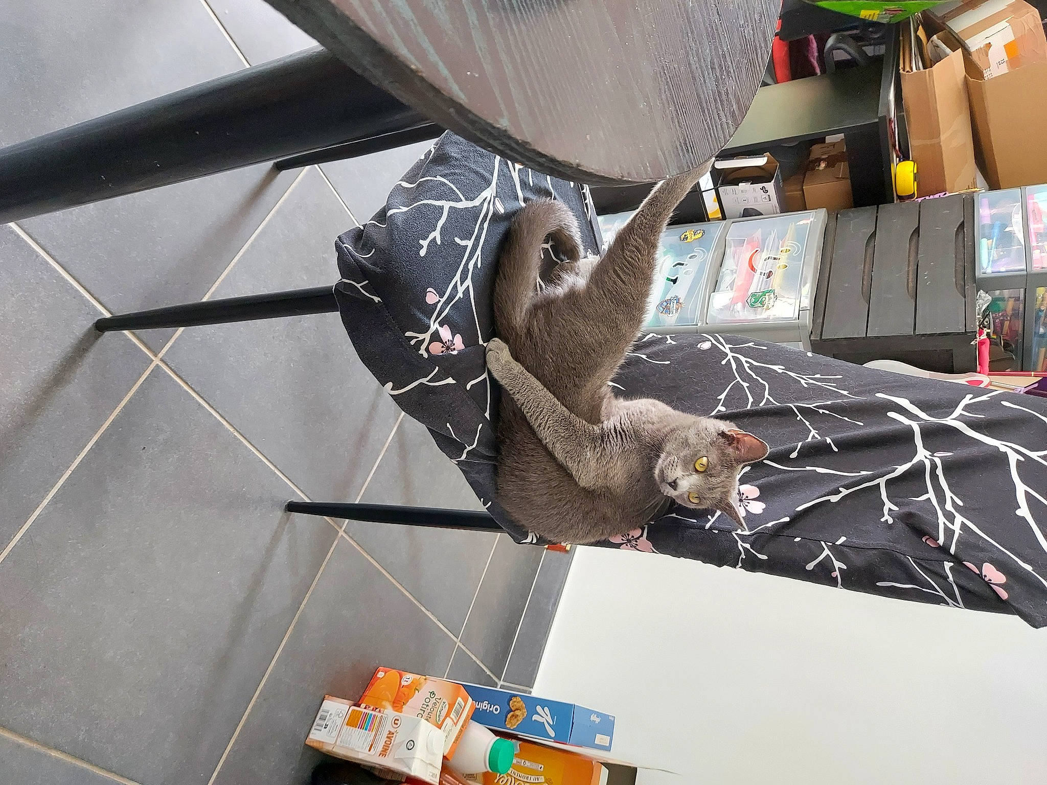 Yuma participe au concours pour gagner de l'argent avec cette photo : aerospace_engineering, aerospace_manufacturer, aircraft, airplane, art, auto_part, automotive_design, aviation, engineering, event, general_aviation, machine, metal, military_aircraft, propeller, propeller_driven_aircraft, space, vehicle, visual_arts, wing