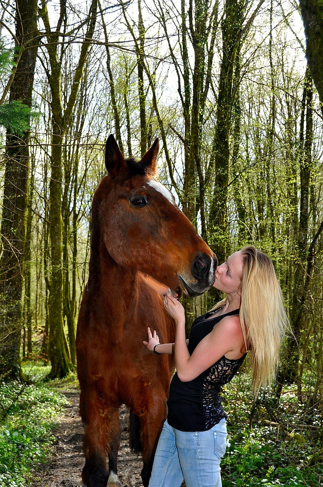 Diamant a rejoint le concours — aidez-le/la à gagner de superbes lots ! bridle, forest, halter, horse, horse_supplies, horse_tack, liver, mammal, mane, mare, mustang_horse, plant, rein, snout, sorrel, stallion, tree, vertebrate, wildlife, woodland