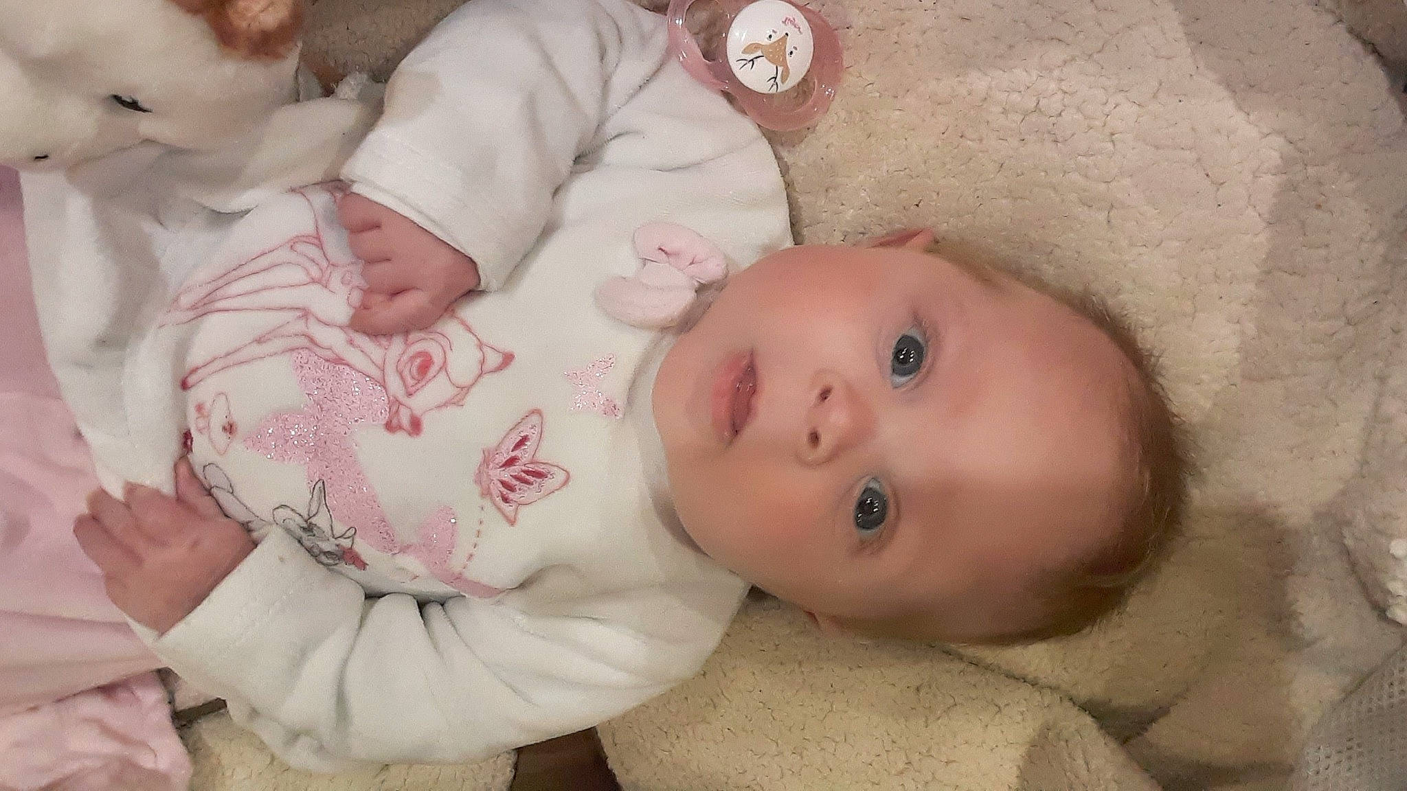 Thalya a rejoint le concours — aidez-le/la à gagner de superbes lots ! baby, baby_products, baby_sleeping, baby_toddler_clothing, bedtime, cheek, child, comfort, fur, human, iris, linens, lip, nap, nose, person, skin, sleep, toddler