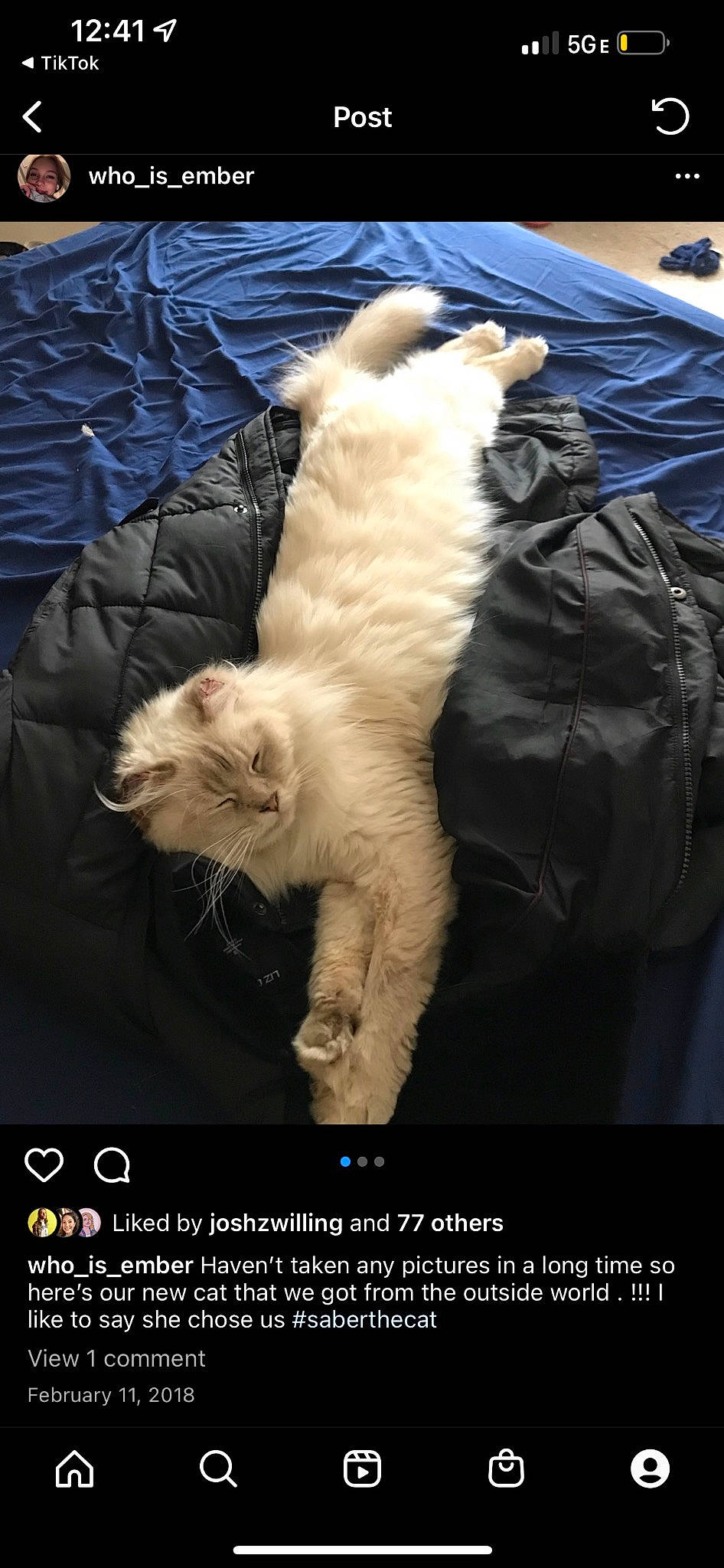 Saber joined the competition — help win amazing prizes! canidae, carnivore, cat, claw, comfort, companion_dog, domestic_short_haired_cat, fawn, felidae, fur, lap, paw, photo_caption, small_to_medium_sized_cats, sporting_group, tail, whiskers