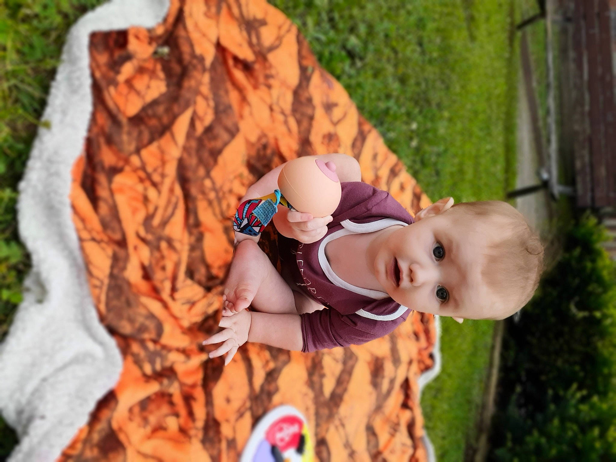 Hunter is registered to the contest to win money with this photo: child, fawn, grass, leaf, person, photography, plant, surprise, toddler, tree, vacation