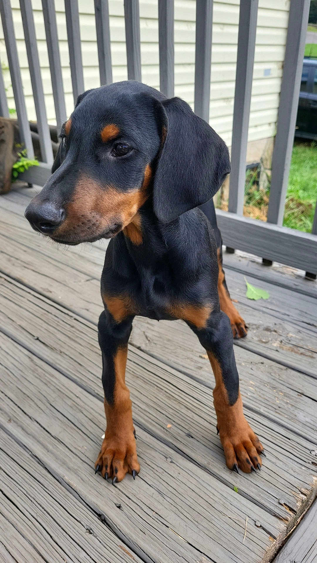 Zeus