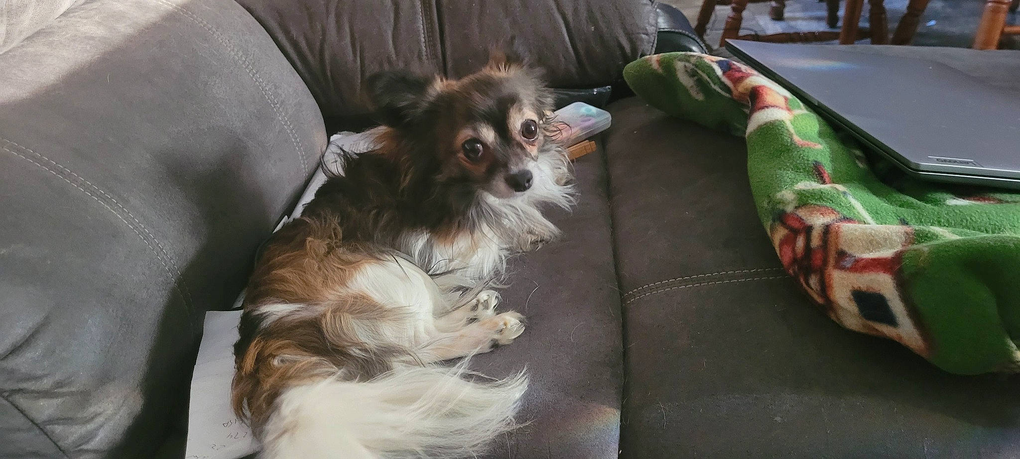Spanky
