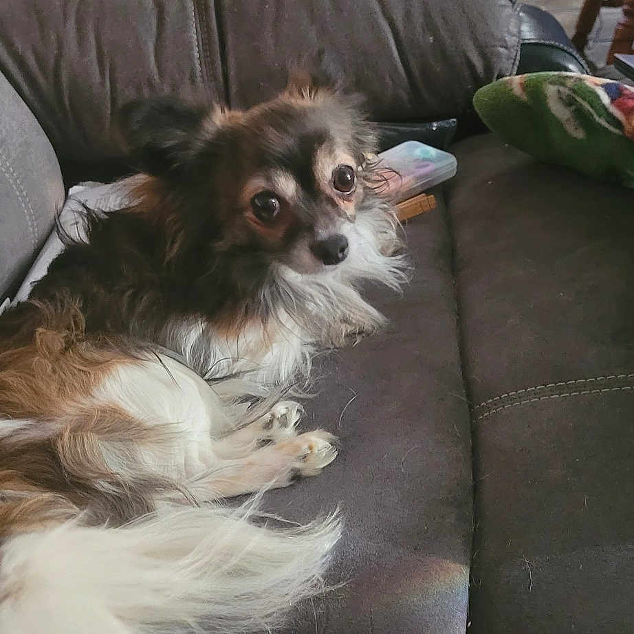 Spanky