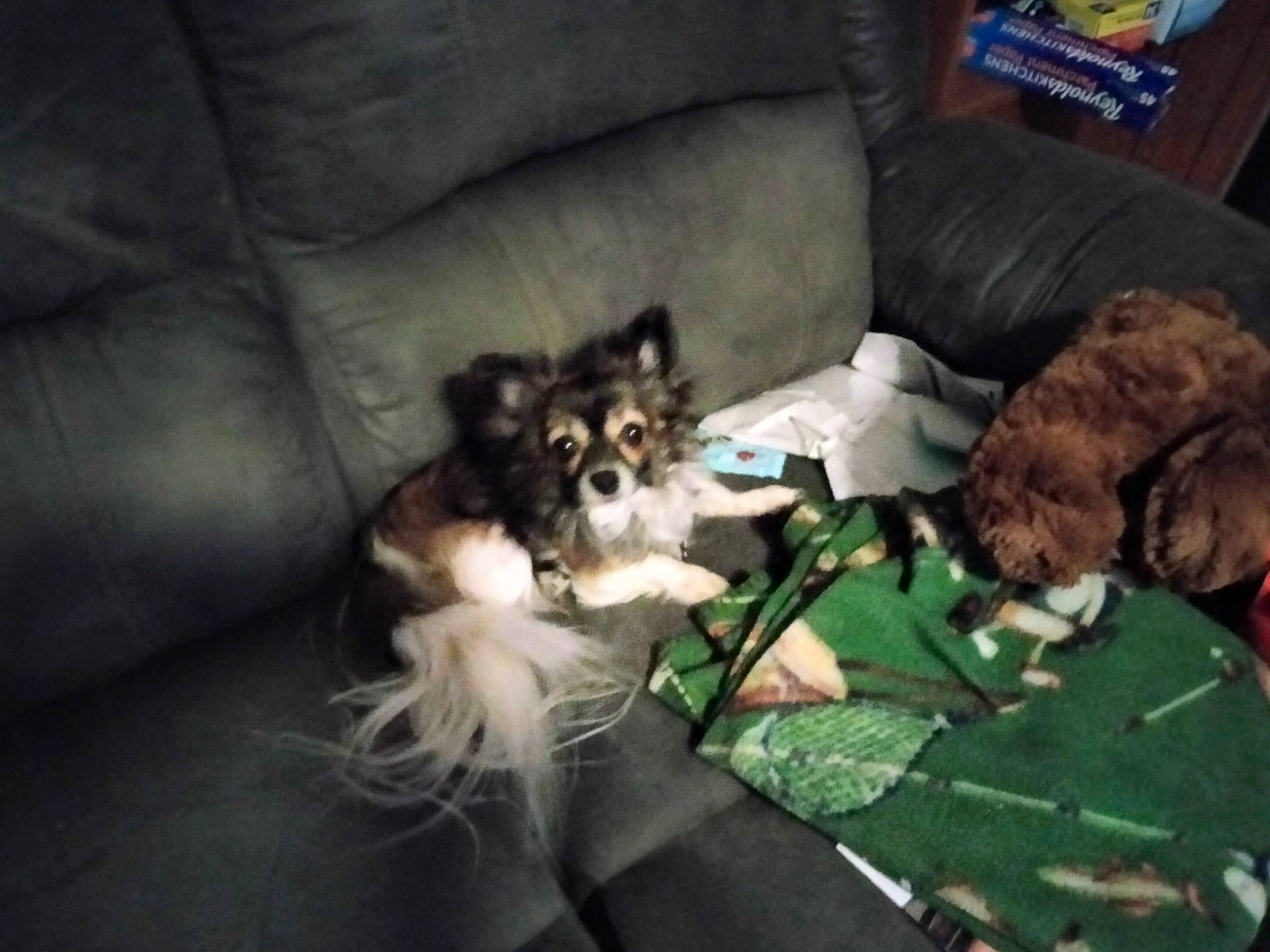 Spanky