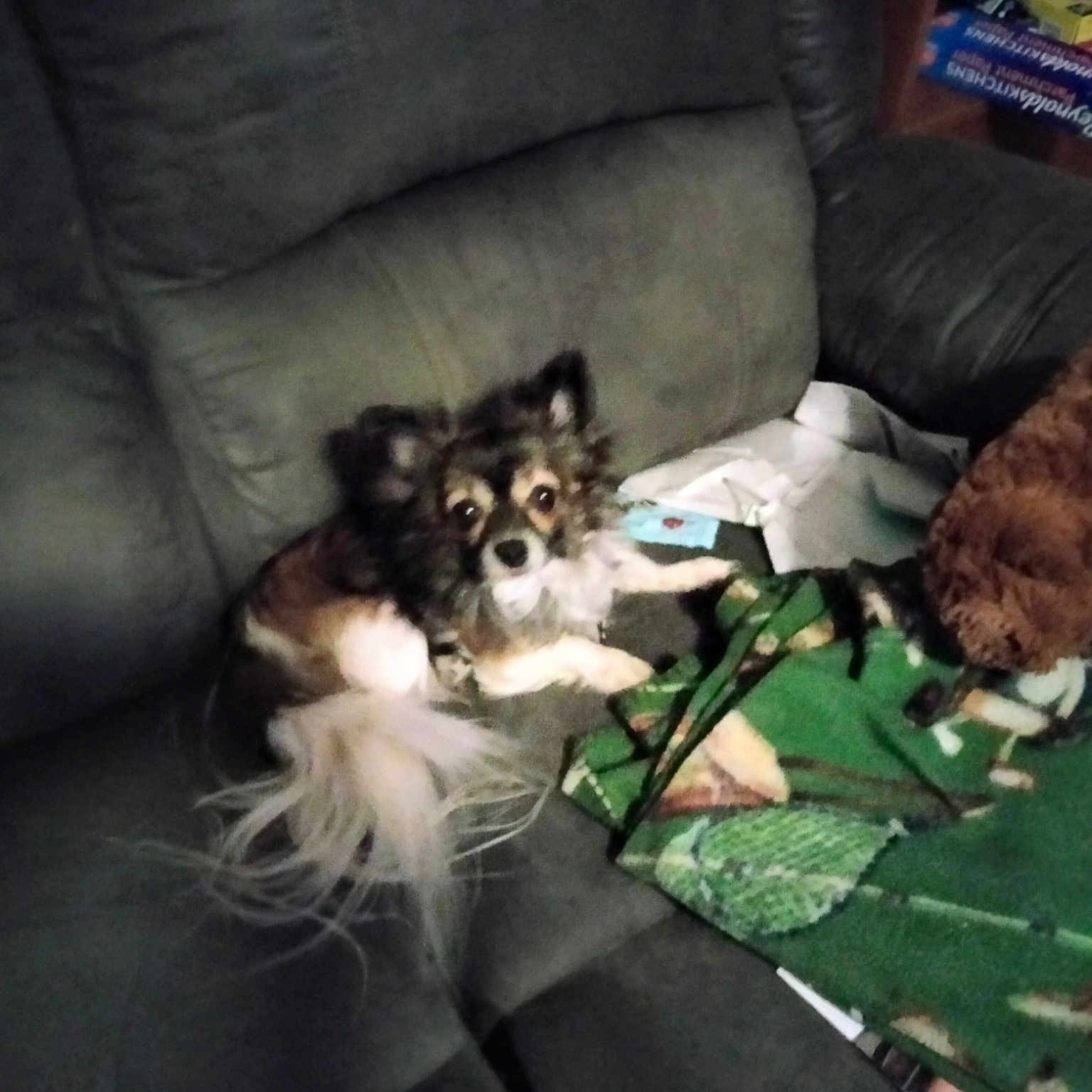 Spanky