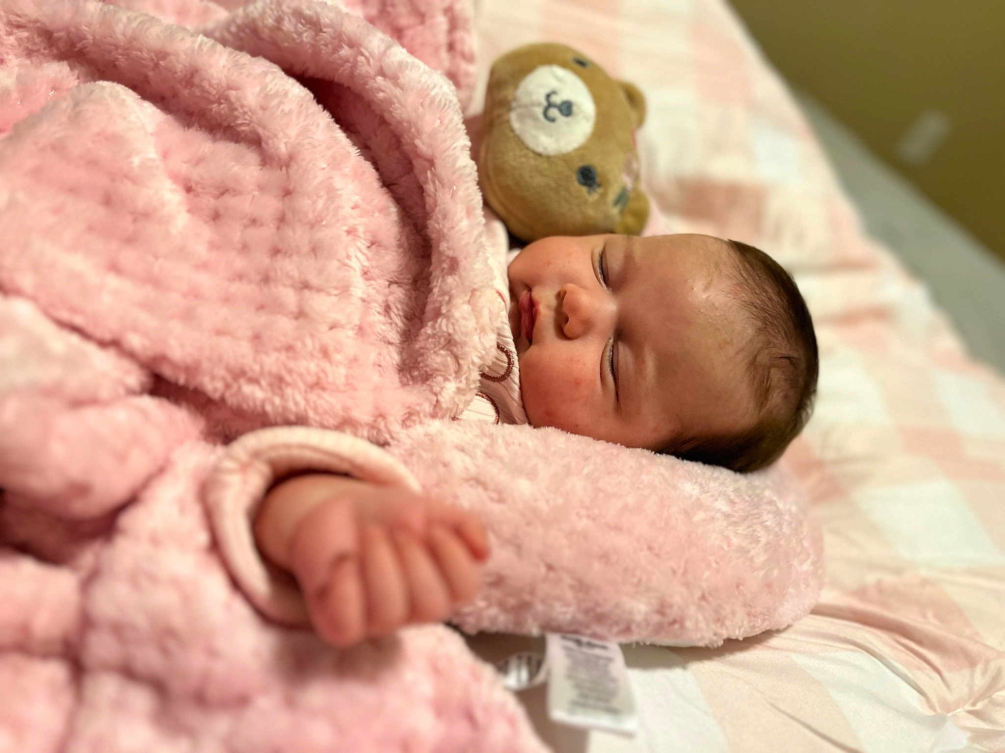 Stella