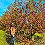 Lulu joined the competition — help win amazing prizes! agriculture, autumn, cloud, coquelicot, deciduous, field, flower, flowering_plant, grass, grassland, groundcover, happy, leaf, natural_landscape, people_in_nature, plant, rose_family, shrub, sky, tree