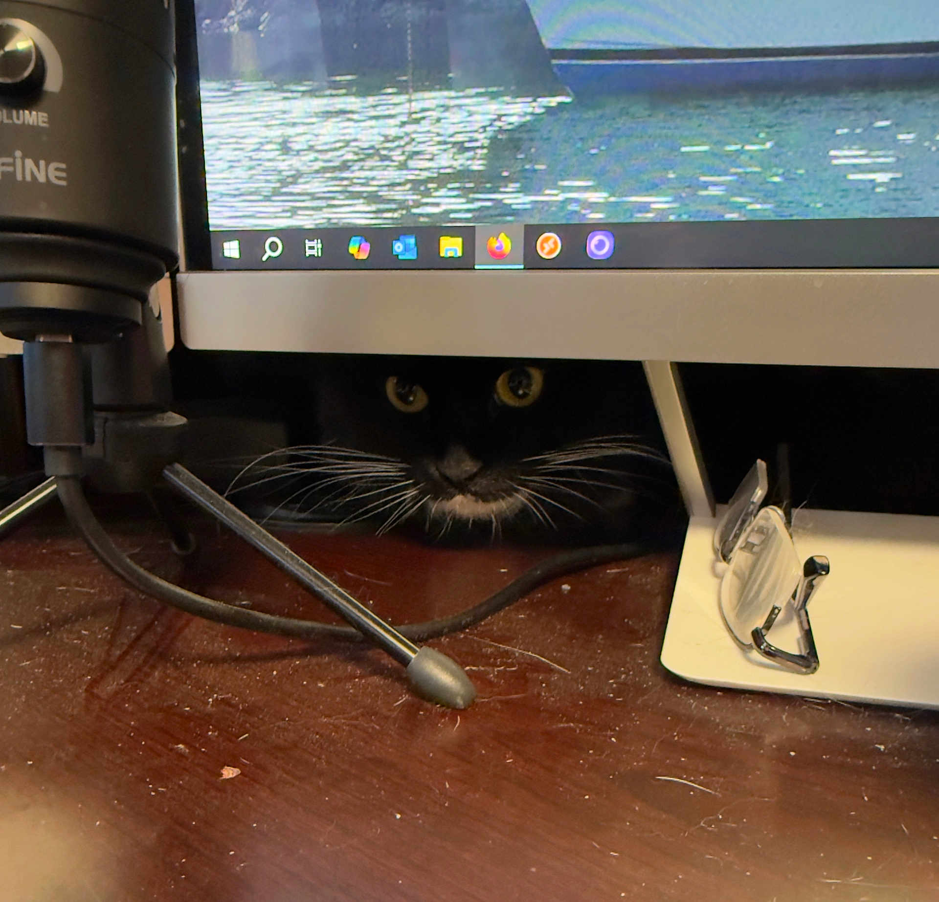 Riki is registered to the contest to win money with this photo: black_cat, cat, whiskers, computer_monitor, desk, microphone, glasses, peeking, eyes, technology, indoor, wooden_surface, cord, shadow, closeup, animal, pet, curious, hidden, workspace